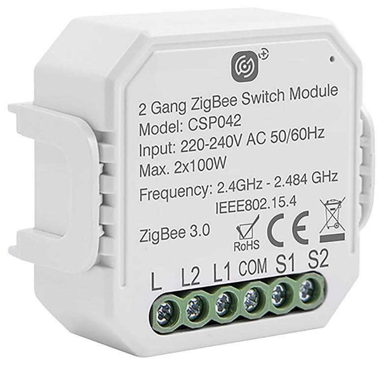 Smart Switching Module, 2 Gang, 2x 100W - CSP042