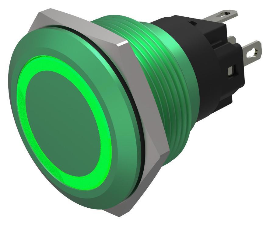 LED Illuminated Vandal Resistant Push Button Switch, SPDT, Momentary, 22mm, 24V DC, Green - 82-6851.1134